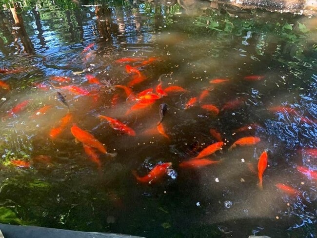 Building Photo - 49 Duke St