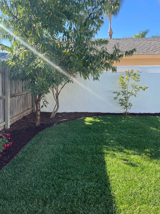 Building Photo - 264-266 S Park Street Orange, CA