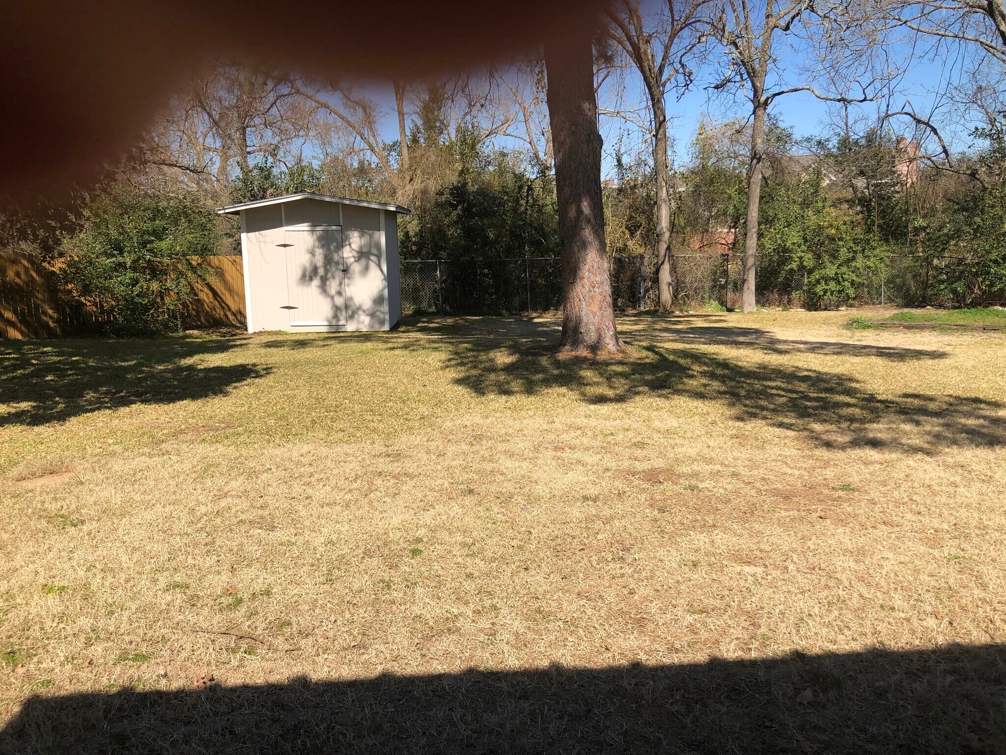 Back yard - 1529 Woodland Dr