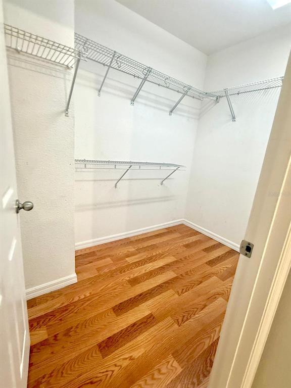 Building Photo - 3514 Cayugas Loop