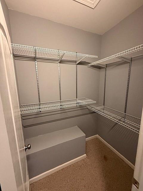 Building Photo - 107 Holcomb Manor Ct