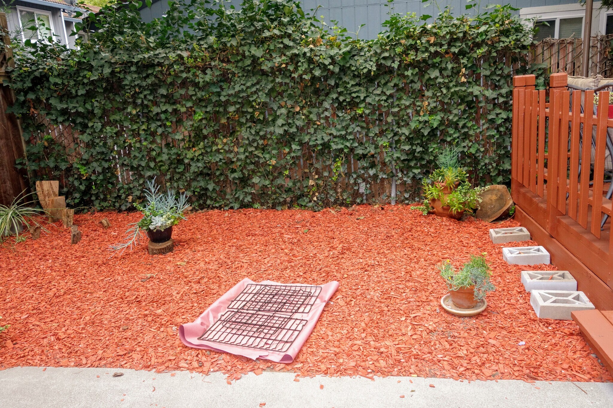 Cozy no-maintenance backyard - 983 Hacienda Circle