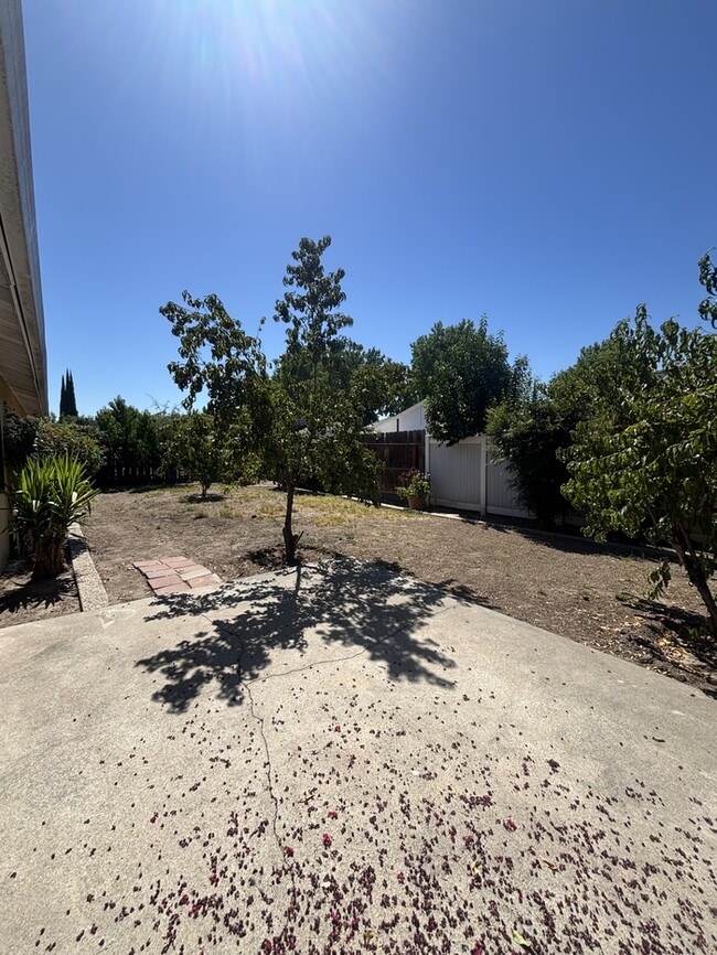 Building Photo - 2220 Jeanine Dr