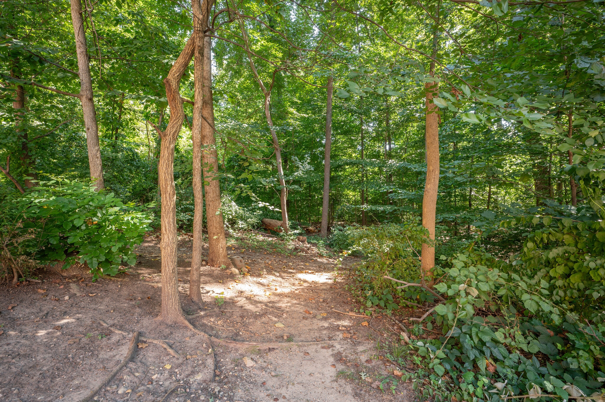 Trailhead entry - 4100 W St NW