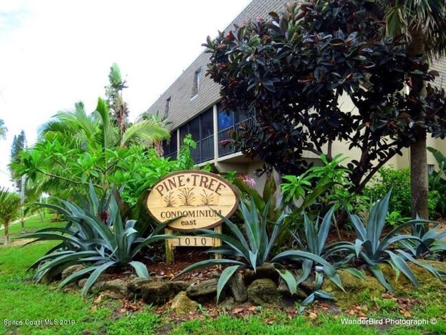 Building Photo - 1010 Pine Tree Dr