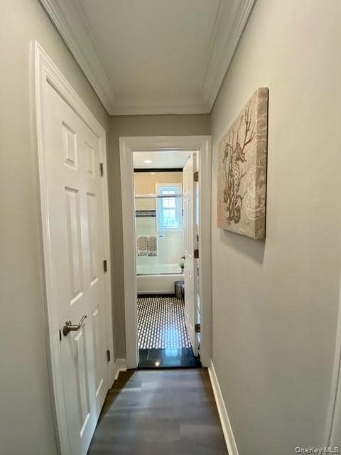 Building Photo - 305 Robinson Ave