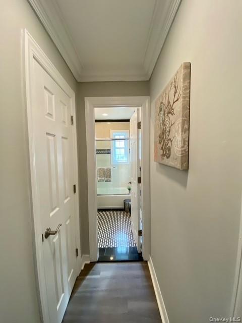 Building Photo - 315 Robinson Ave