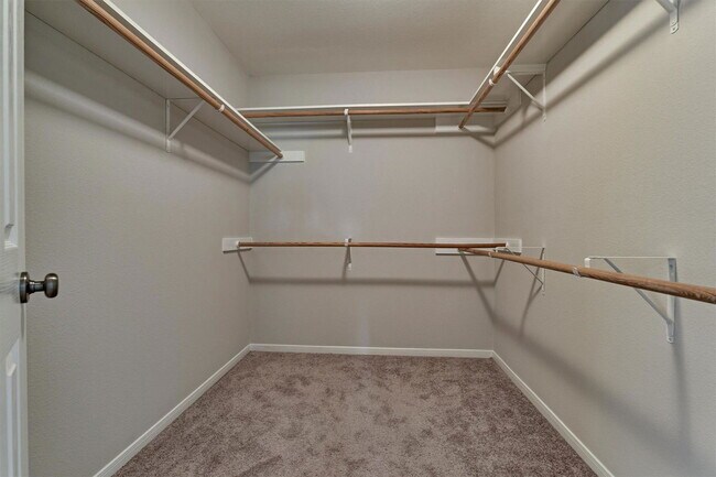 Building Photo - 83 Woodlily Pl