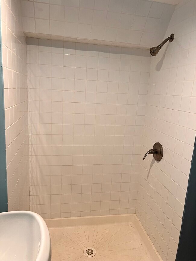 Second Bathroom Shower - 501 Green St