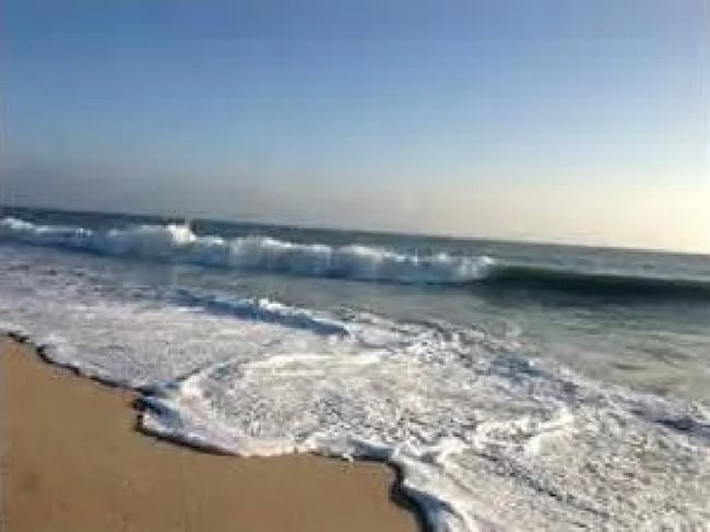 Building Photo - 4280 55th St