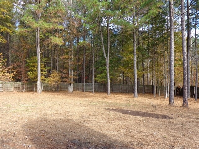 Building Photo - 1633 Amalie Drive