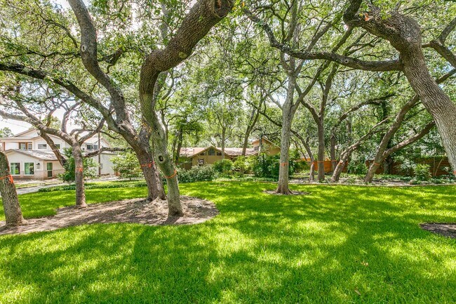 Building Photo - BEAUTIFUL 4-BEDROOM HOME IN ALAMO HEIGHTS