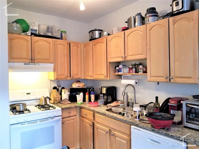 Building Photo - Great Deal! 5-bed, 3-bath Allston Apartment Near the B Line!