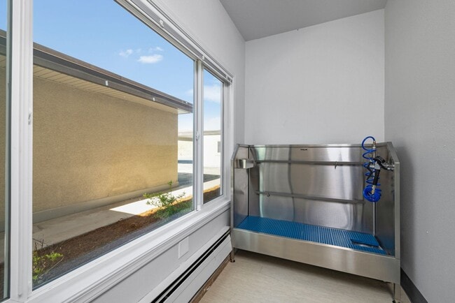 Building Photo - Available NOW!  1 bed 1 bath apartment