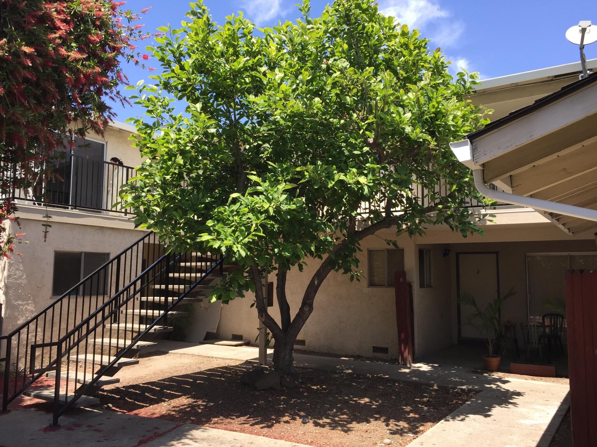 Court Yard - 872 Gallatin Dr