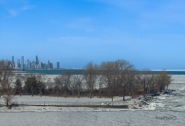 Building Photo - 7337 S South Shore Dr