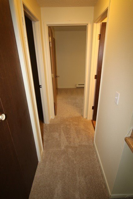 Building Photo - 2 Bedroom West Anchorage Condo!