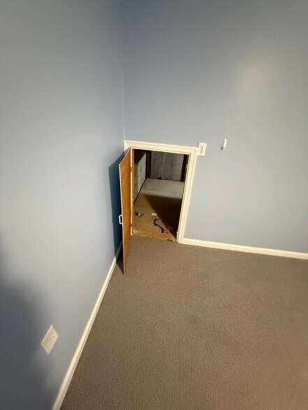 Building Photo - 12 Paynter St