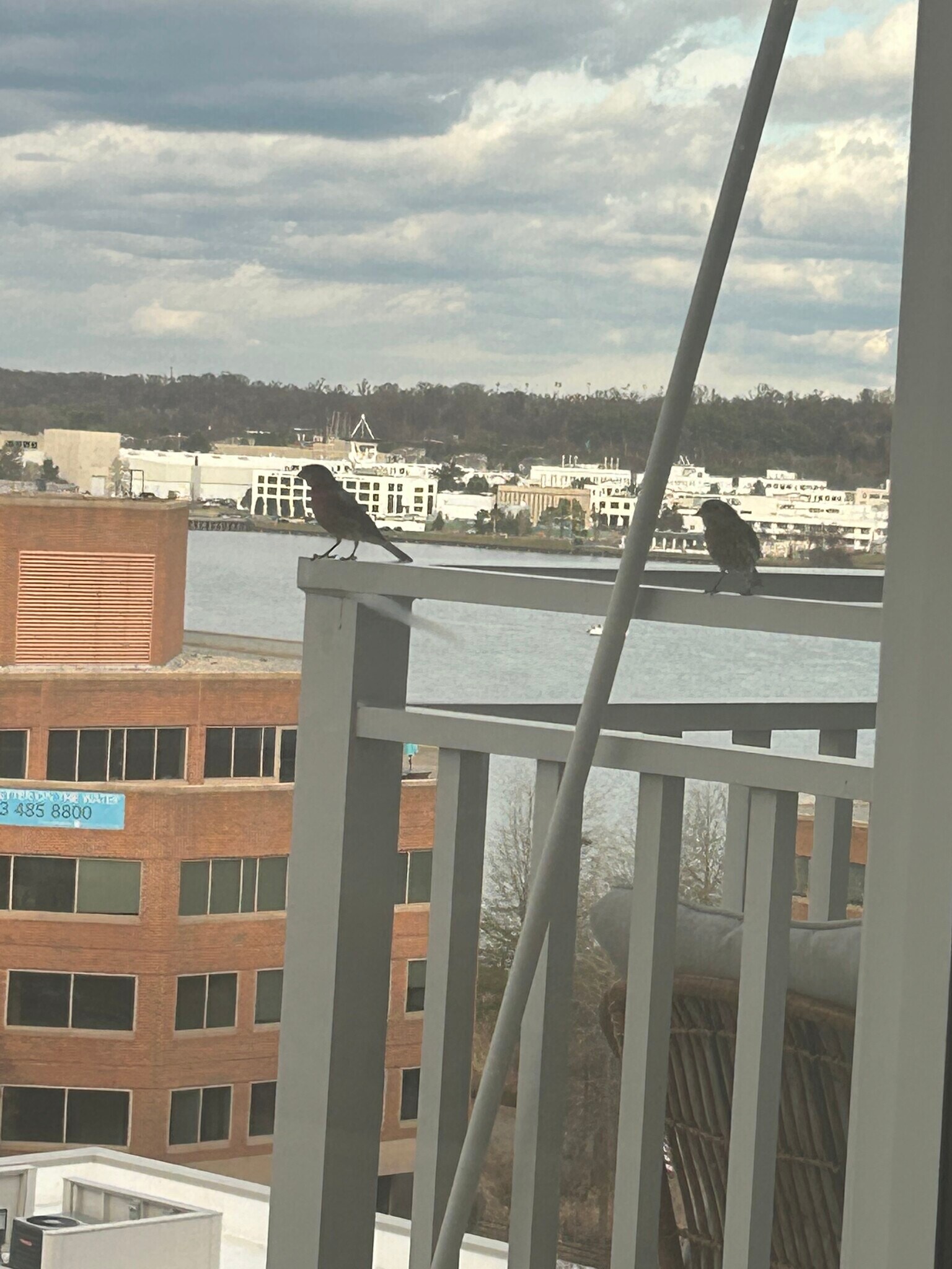 Building Photo - 925 N Fairfax St