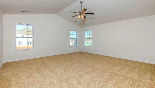 Building Photo - Spacious Newer Construction In Candler