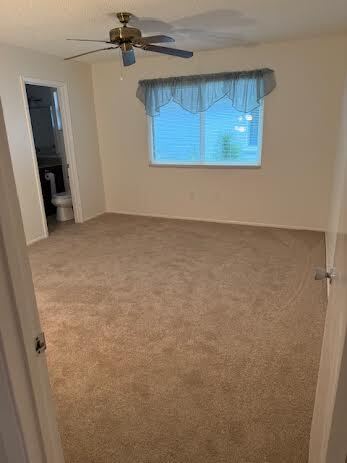 Building Photo - 3931 Panola Ln