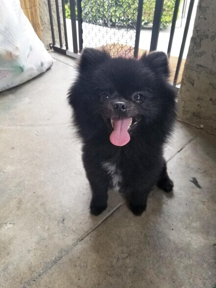 Building Photo - 1025 S Sherbourne Dr