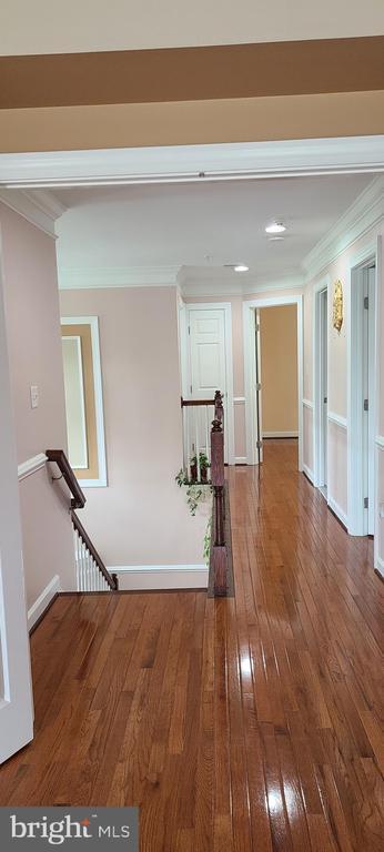 Building Photo - 4506 Nightingale Ct