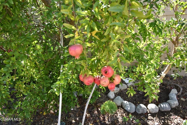 Building Photo - 4526 Tenango Dr