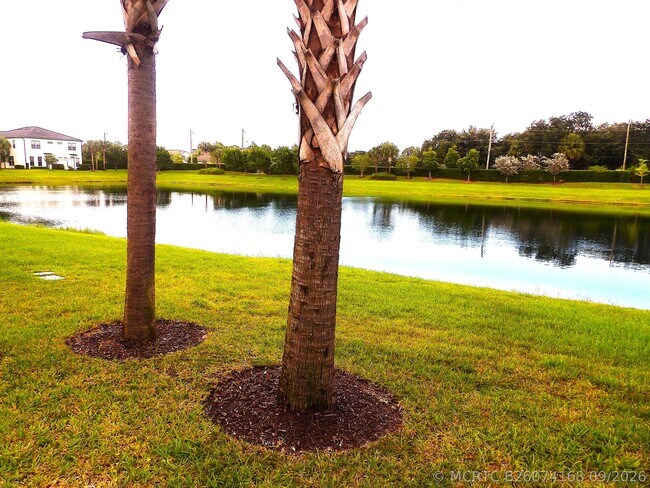 Building Photo - 6050 Praza Ln