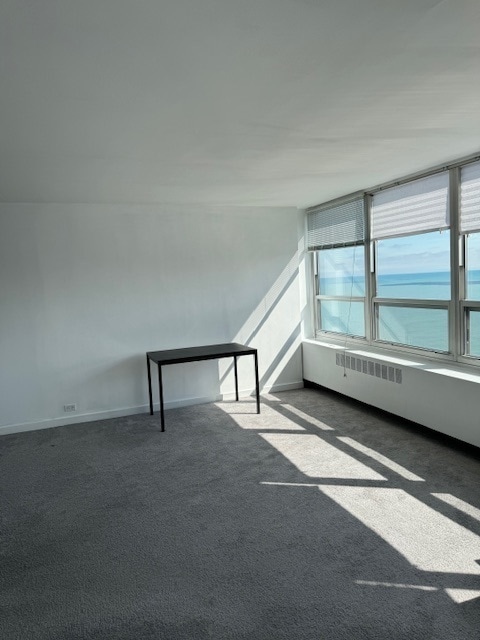 Building Photo - 4800 S Chicago Beach Dr