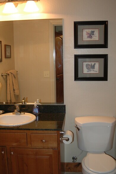Master Bath - 1646 Fox Hollow Ln