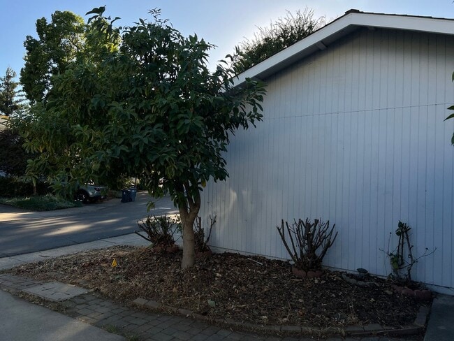 Building Photo - New Price $2,100.00 South Davis Townhome On Veranda Terrace,  3+1.5, Garage, Small backyard, Frui...