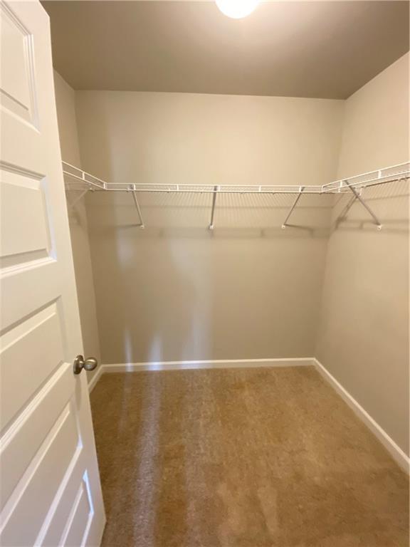 Building Photo - 3761 Prospect Point Dr