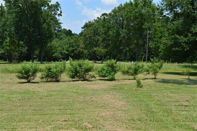 Building Photo - 160 County Rd 6498