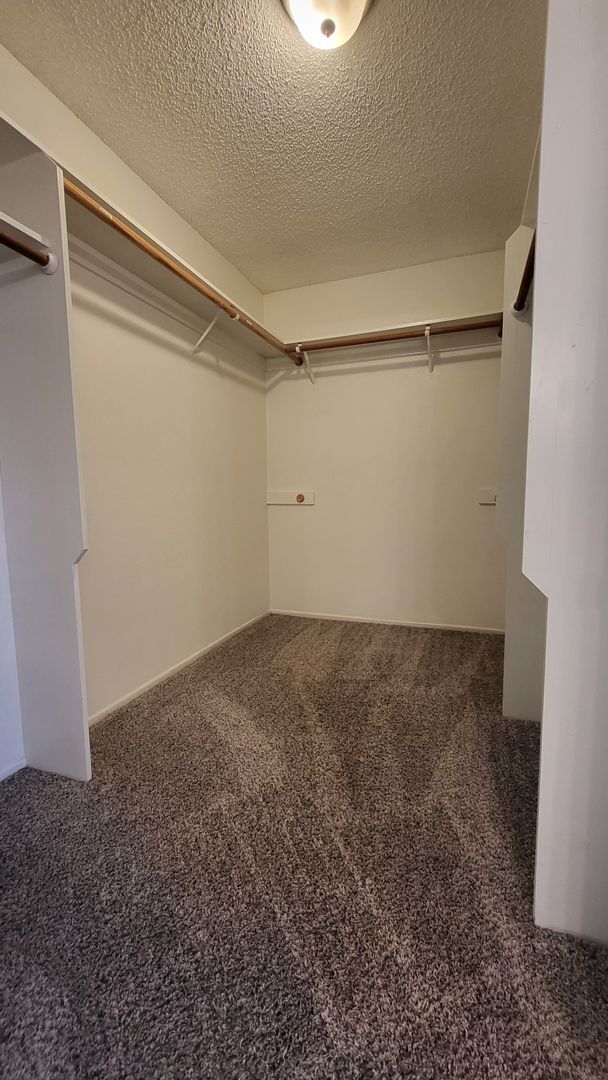 Building Photo - 6601 Camphor Ct