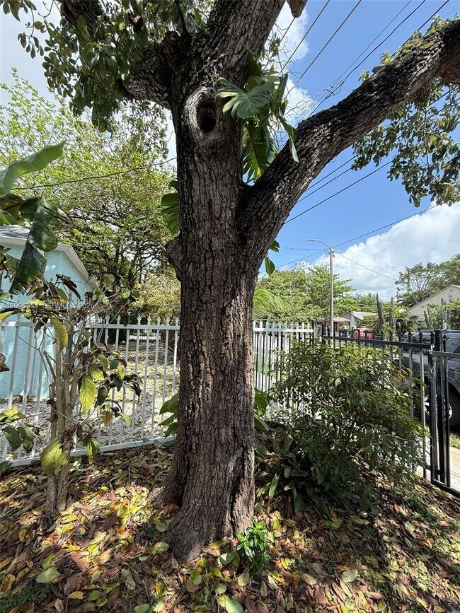 Building Photo - 294 NE 57th St