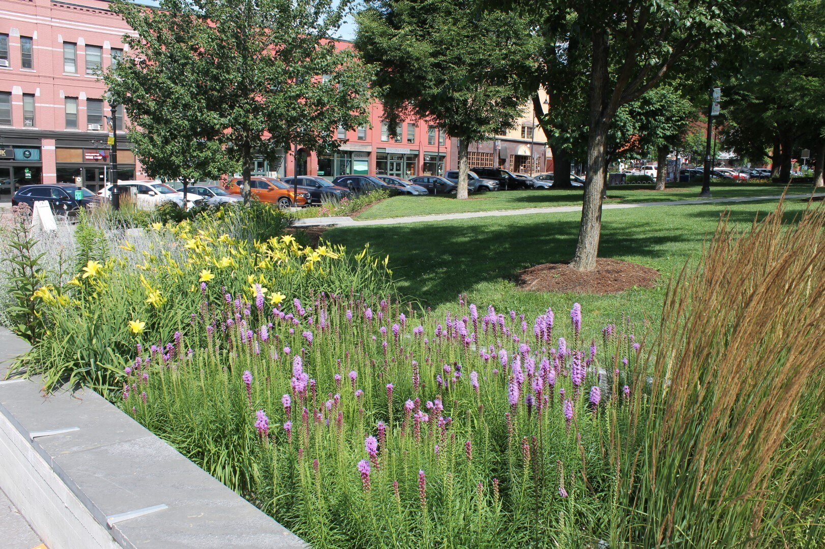 Building Photo - 131 Main St