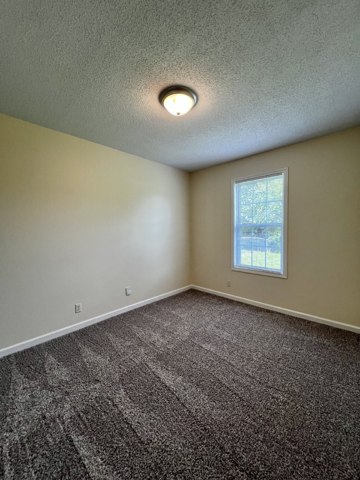 Building Photo - "Charming 2-Bedroom Retreat with 912 Sq Ft of Cozy Living in Oak Grove!"