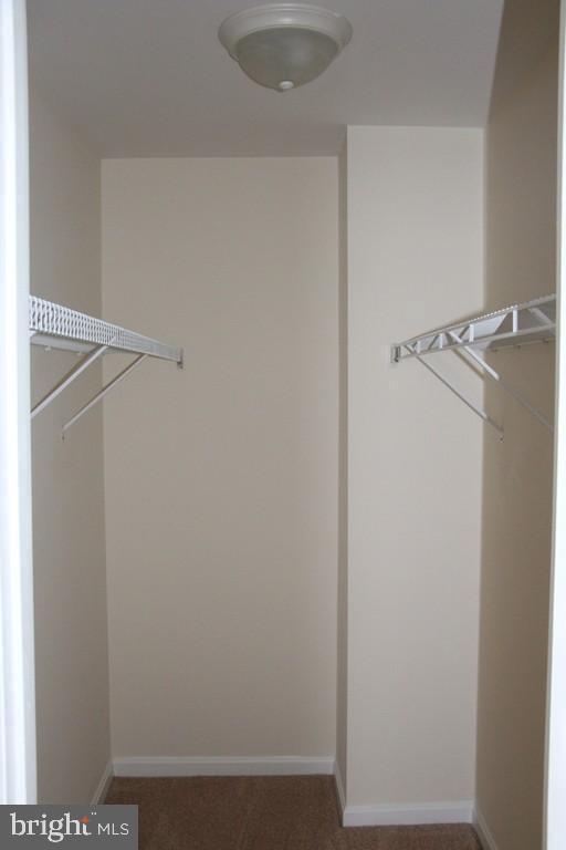 Building Photo - 8651 Chester Ct