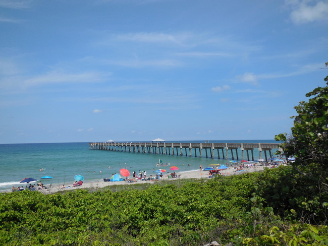 Building Photo - 800 Juno Ocean Walk