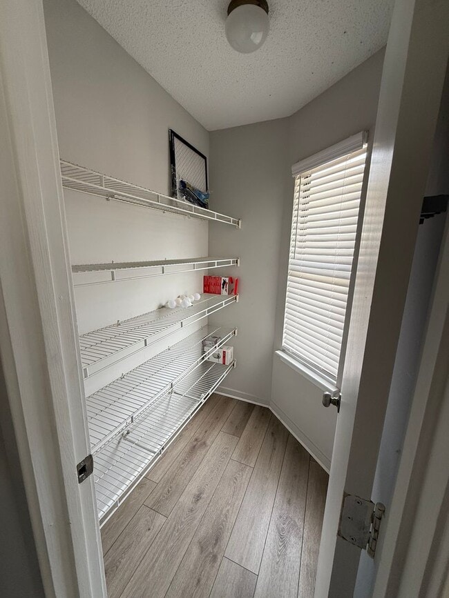 Building Photo - Central Mount Pleasant Ranch