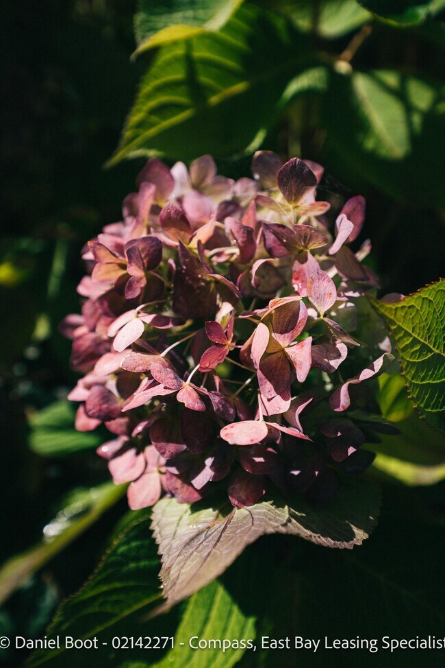 Building Photo - 2141 Ward St