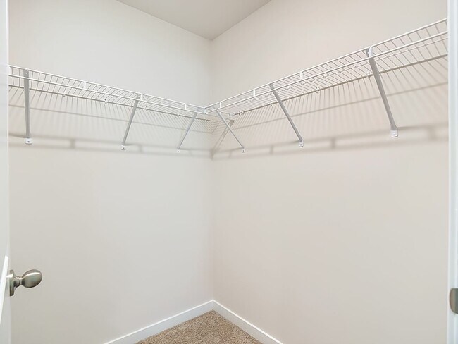 Building Photo - 14168 Hemingway Oaks Trl