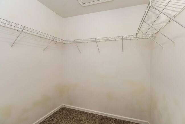 Building Photo - 16105 Long Talon Way