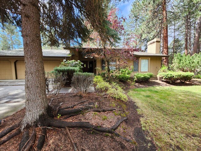 Building Photo - Large 3 Bed/2 Bath Home in the Mountain Hi...