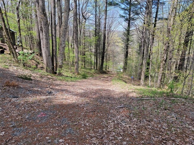 Building Photo - 320 Moss Hill Rd