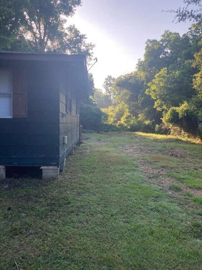 Building Photo - 356 Live Oak Ave