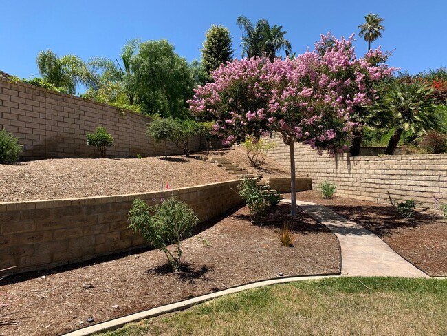 Building Photo - 2579 Pepperwood Dr