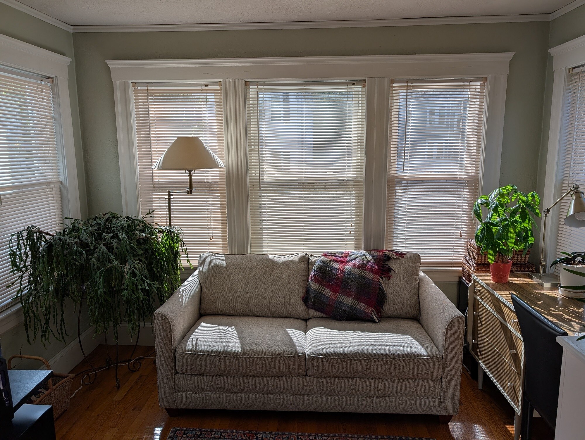 Building Photo - 36 Springfield St