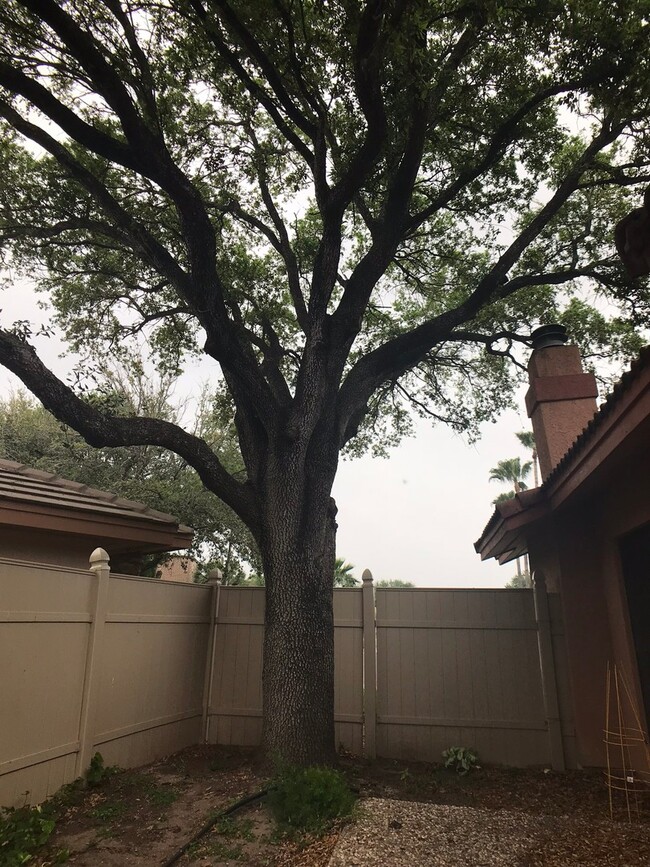 Building Photo - 3Bed/2Bath In Cimarron now Available!